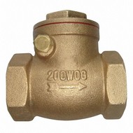 Check Valves and Backflow Preventers