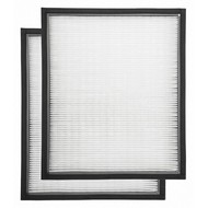 Air Cleaner Filters - Pandemic