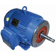 Close-Coupled Pump Motors