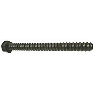 Coil Bolts