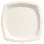 Disposable Plates