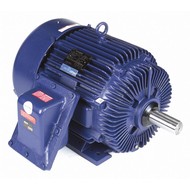 Hazardous Location Motors