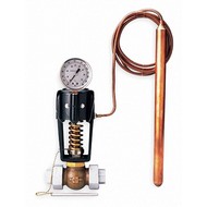 Temperature Regulator Valves