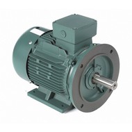 Three Phase IEC Metric Motors
