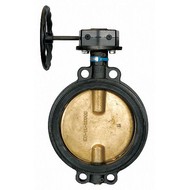 Butterfly Valves
